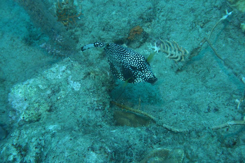 2008-05-17 15-17-29 H.JPG